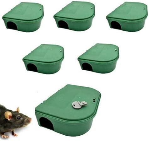 small rat outlet box